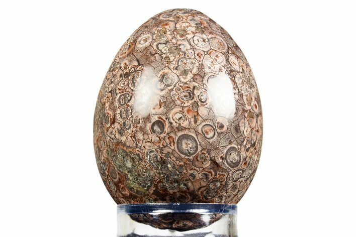 Polished Bird's Eye Jasper (Rhyolite) Egg - Arizona #308740